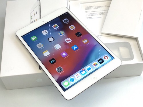 Apple ipad mini schermo - mini,