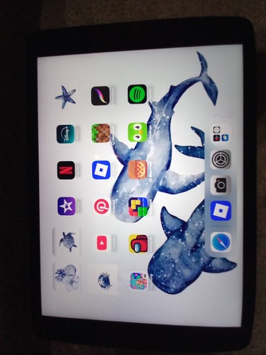 Ipad generazione a2270 - 8a,